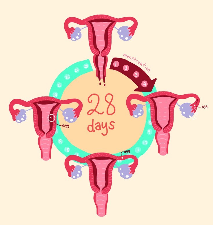 Importance of menstrual hygiene by BAWSS Foundation