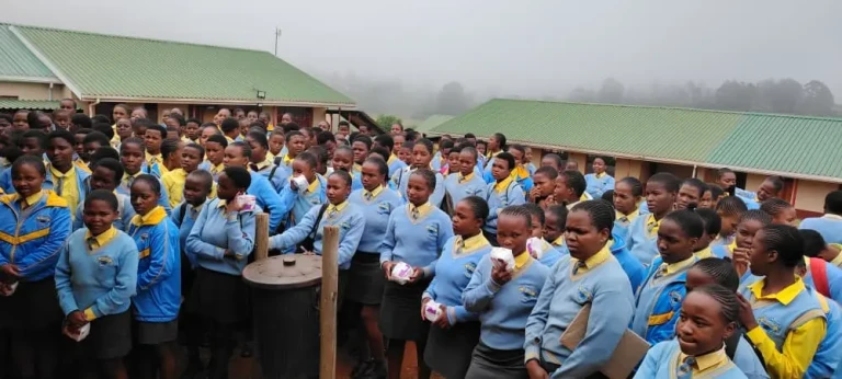 WhatsApp Image 2025-12-09 at 15.55.50